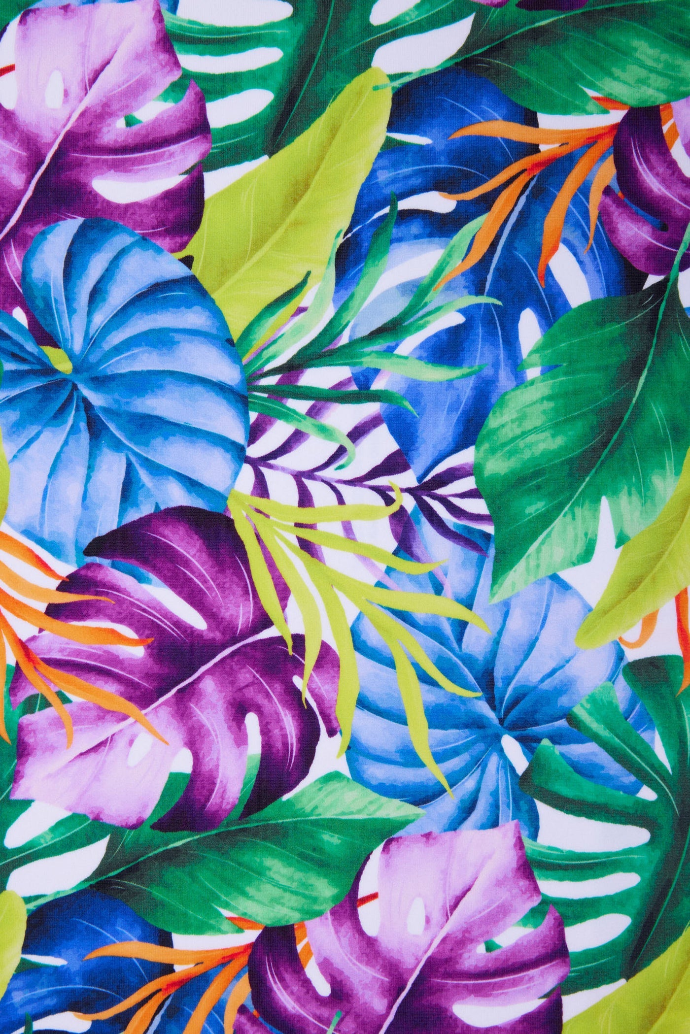 SLIP BIKINI VITA ALTA CONTENITIVO STAMPA TROPICALE YSABEL MORA