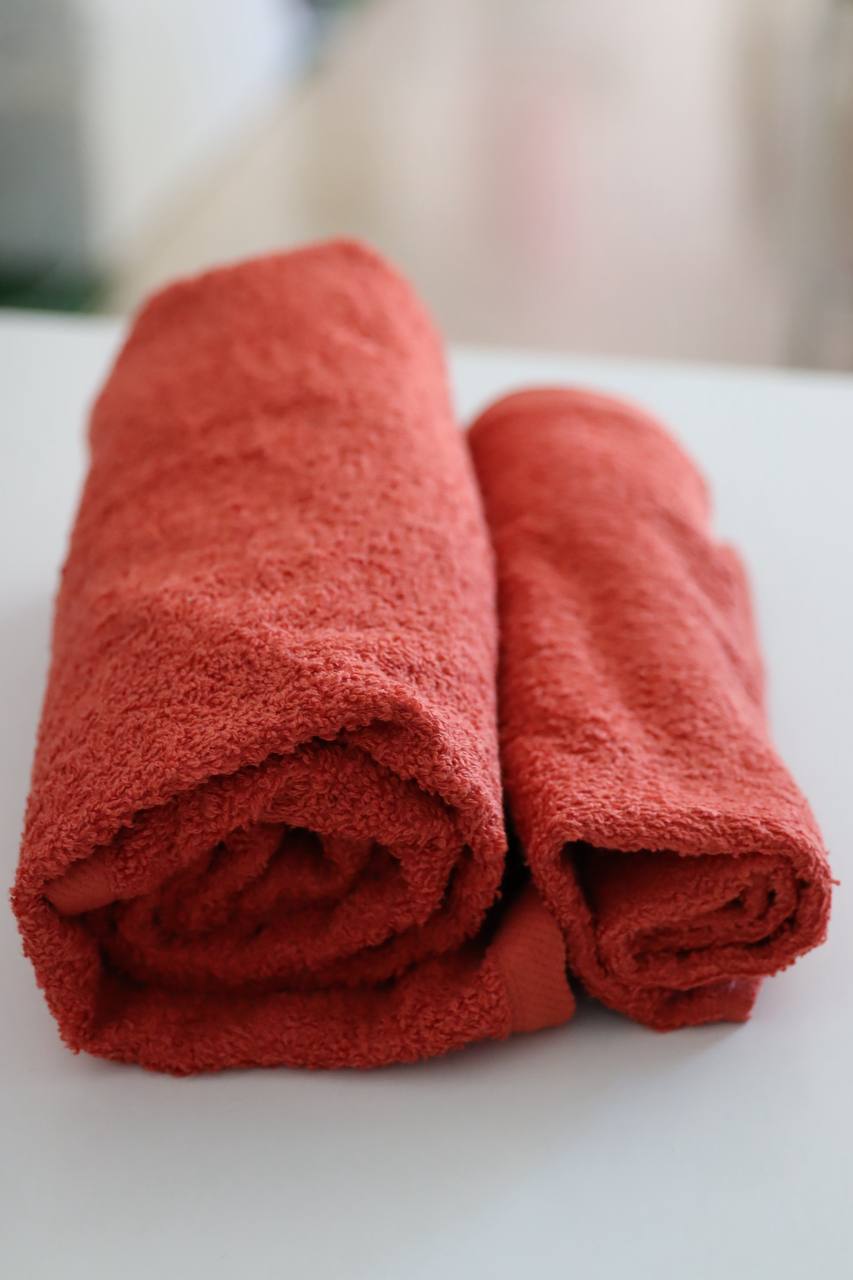 SET ASCIUGAMANI VENERE SPUGNA 550 g/m BARBACCI FIRENZE