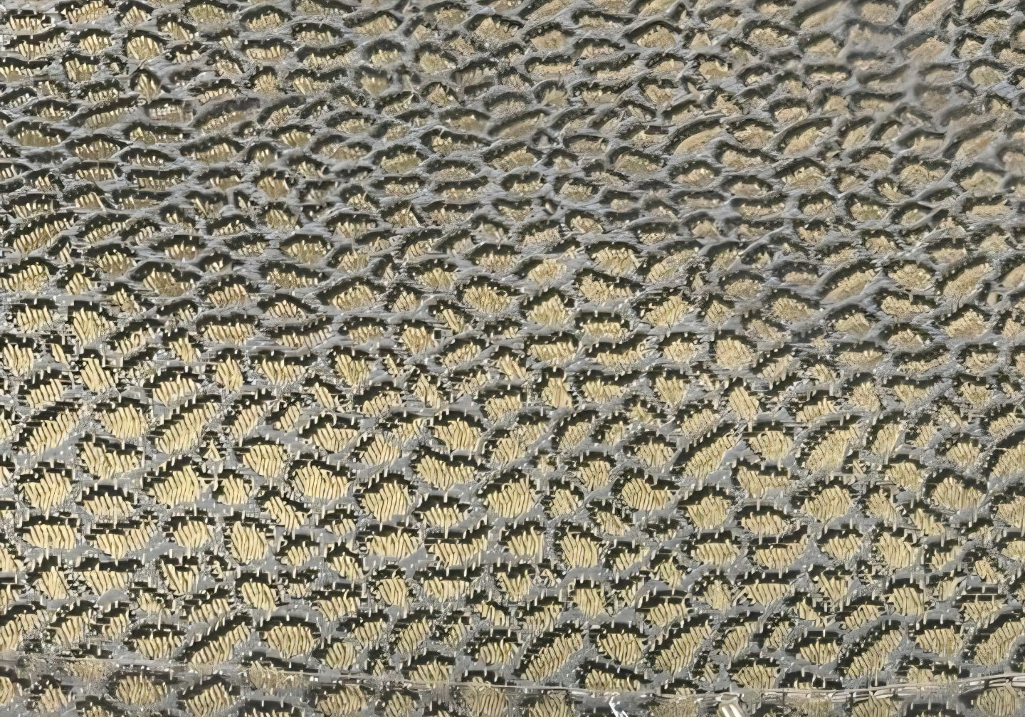 COPRILETTO MATRIMONIALE ESTIVO ORLO BORBONESE BARBACCI FIRENZE